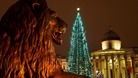 Christmas Tree having its lights switched on in Trafalgar Square, London.