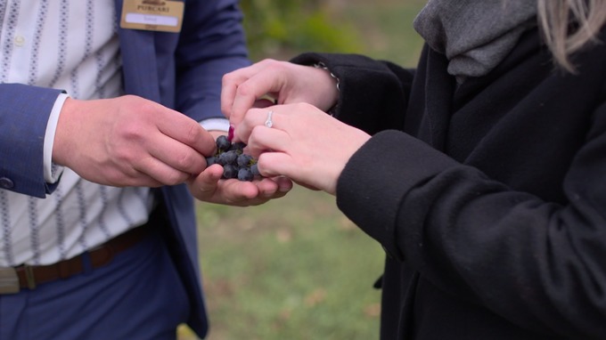 Moldova's countryside has the highest density of vineyards in the world.