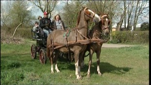The family from Kelvedon have swapped their Land Rover for a horse and cart to help them save money