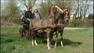 The family from Kelvedon have swapped their Land Rover for a horse and cart to help them save money