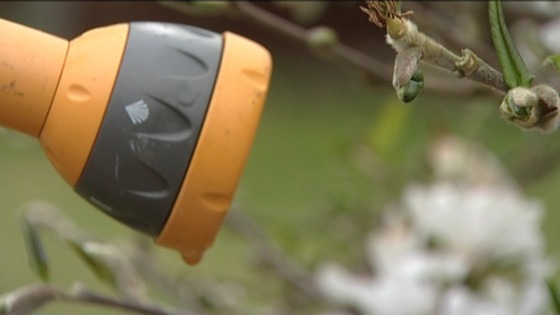 Hosepipe ban for many homes in our region