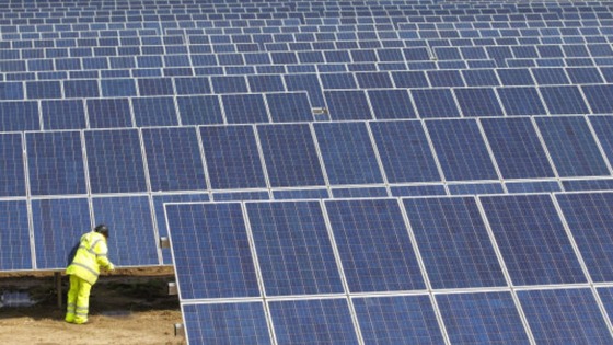 A solar farm in the New Forest