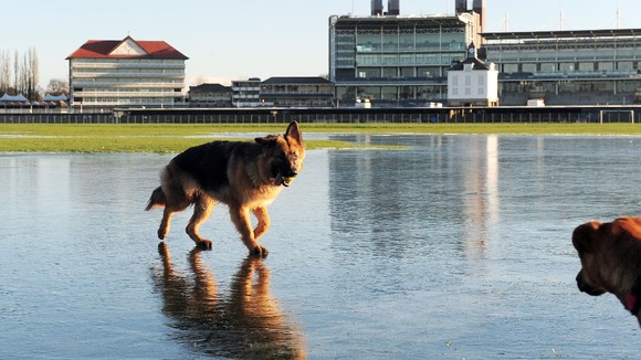 Dogs play on frozen flood water at York Racecourse, North Yorkshire, as cold weather sweeps across the UK in December 2012
