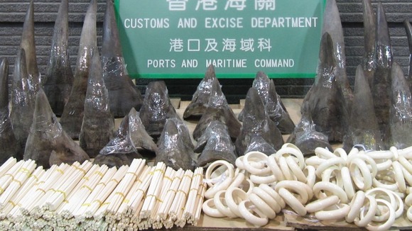 Customs officers in China are seizing increasing amounts of illegal ivory every week.