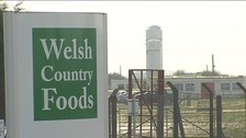 Welsh Country Foods