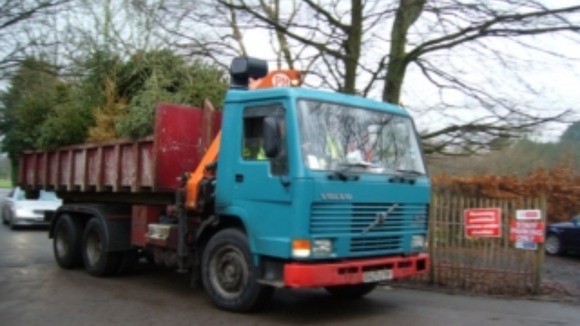 Last year's tree collection raised around £60,000.