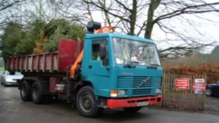 Last year's tree collection raised around £60,000.