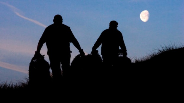 Volunteers carry Christmas trees onto the dunes at Formby beach.