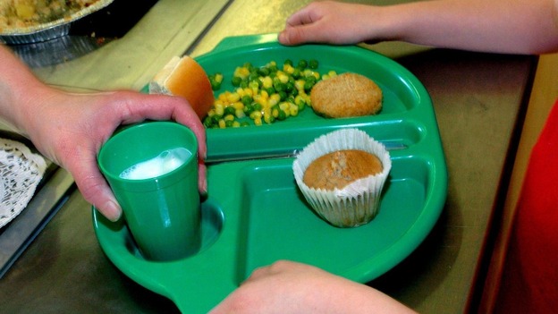 A school pupil receives a school meal