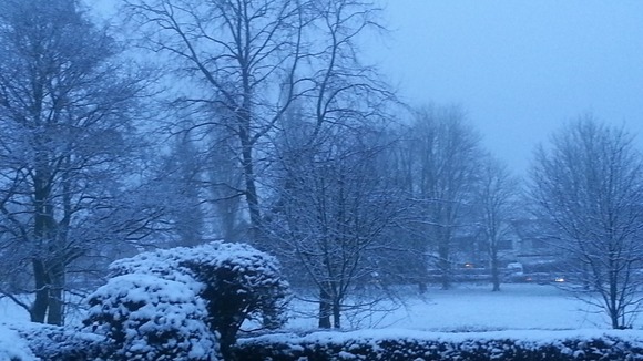Wolverhampton 