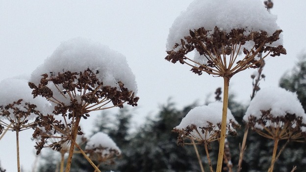 Snow covers parts of the region