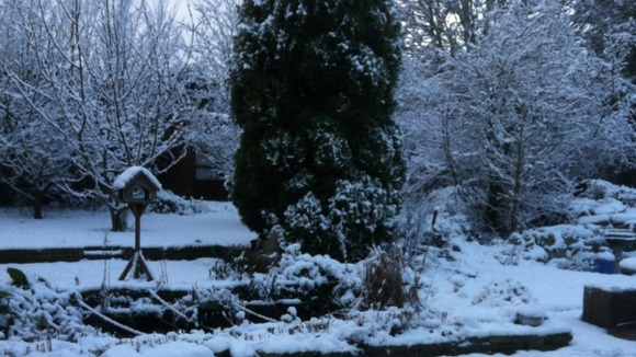 Snow in Kingsgate