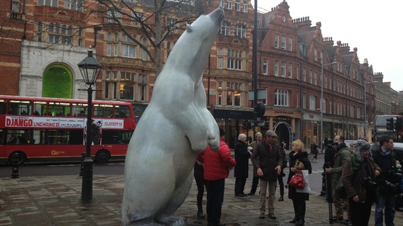 'Boris' the polar bear will be on show for the next 28 days