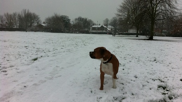 Herfy in Breaston, Derbyshire 