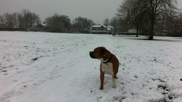 Herfy in Breaston, Derbyshire
