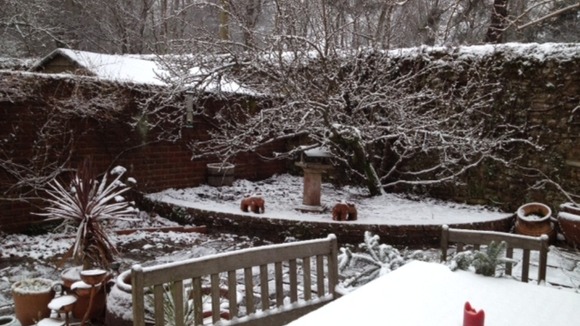 A picture sent in of a snow covered garden in Surrey