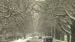 Snow on a street