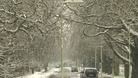Snow on a street
