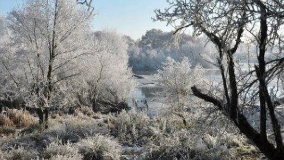 Cold weather