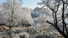 Cold weather