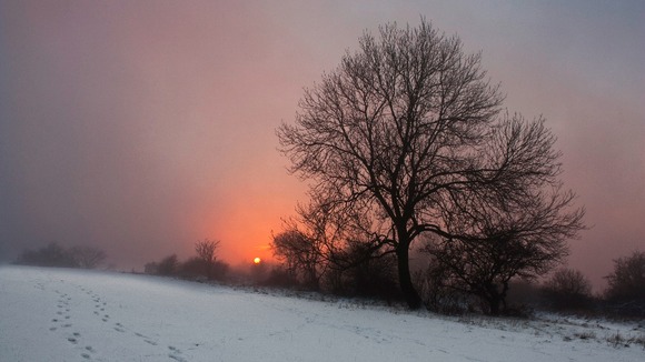  Dunstable Downs