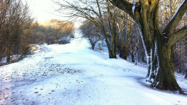 A wintry scene through the trees in Worcestershire.