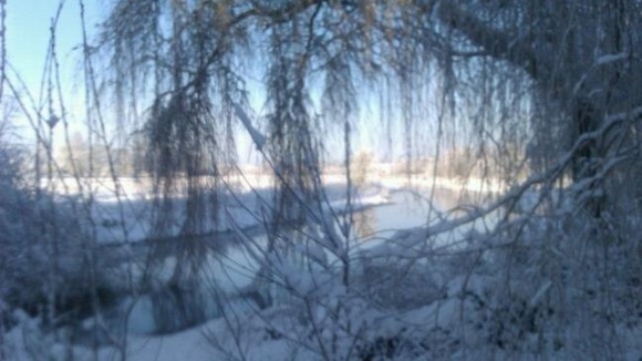 Earlham Marshes