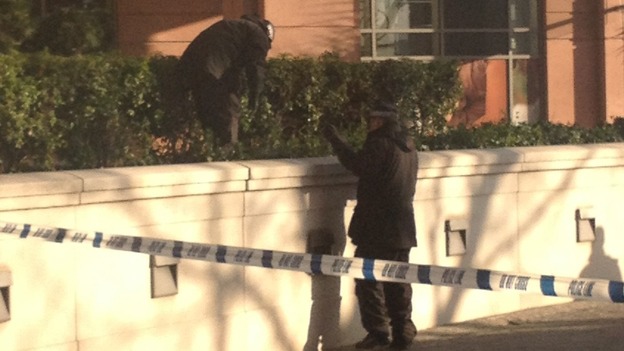 The area around the crane in South London remains sealed off
