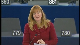Kay Swinburne MEP