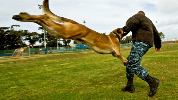 Day in Pictures
