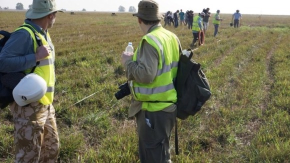 Experts searching the field