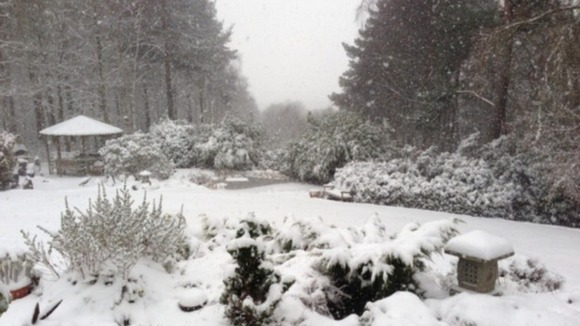 A snow-covered Farnham, Surrey