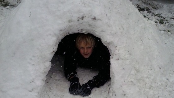 Igloo in Stoke on Trent 