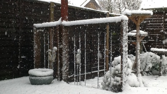 Snow photo