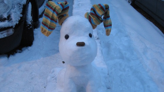 The snowdog