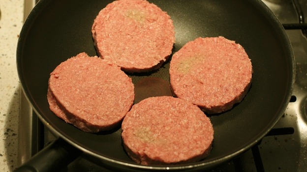 The FSA in Ireland found 10 beef burger products contained horse DNA.