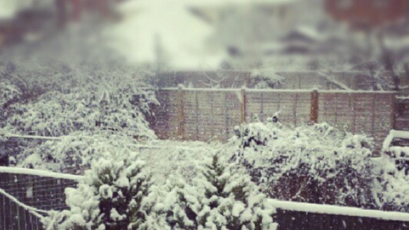 Snow in Reading