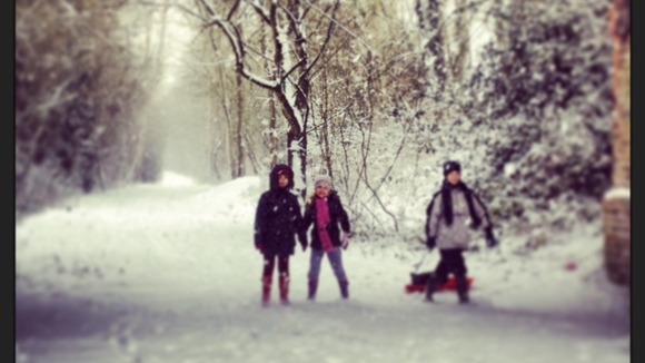 Sledging