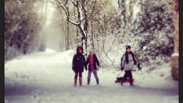 Sledging