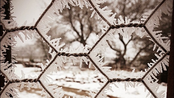Ice