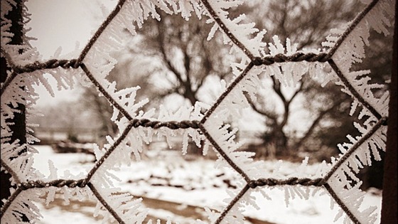 Ice