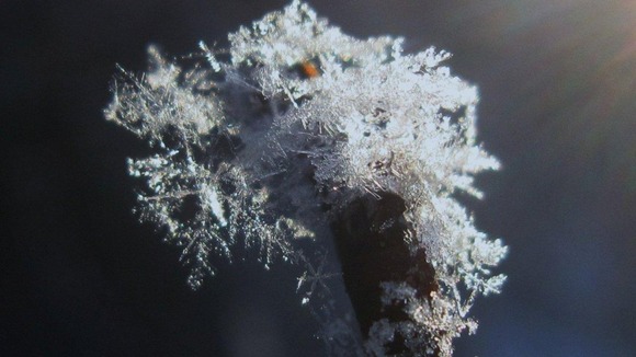 Snow in Dover