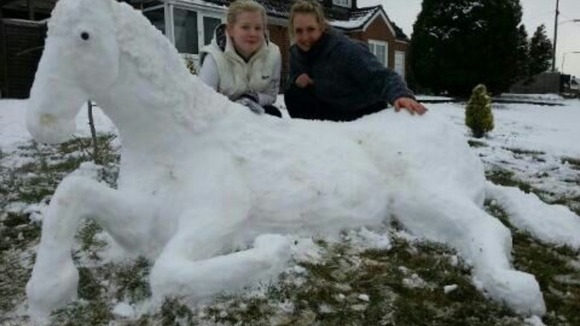 Snow horse 'Mystique' 