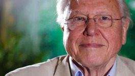 Sir David Attenborough