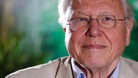 Sir David Attenborough