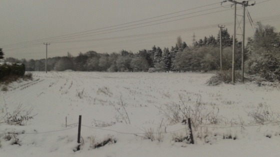 Diss in Norfolk