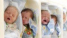 Babies and toddlers are particularly vulnerable to Meningitis. 