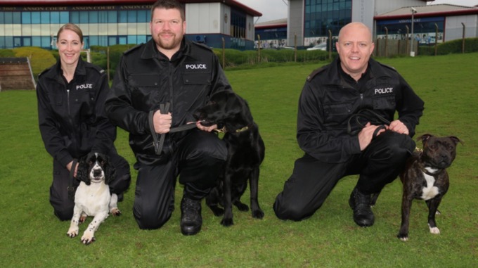 Barry, Archie and Cooper with their handlers