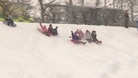 Children sledging
