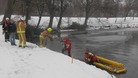 Dog rescue